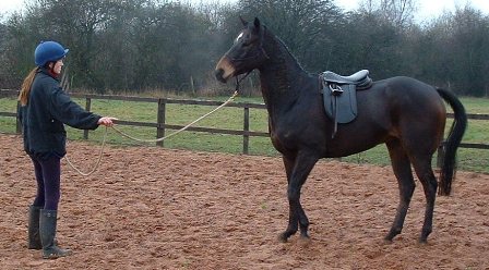 Sophie Ostler Horse Whispering