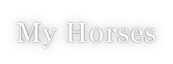 My Horses